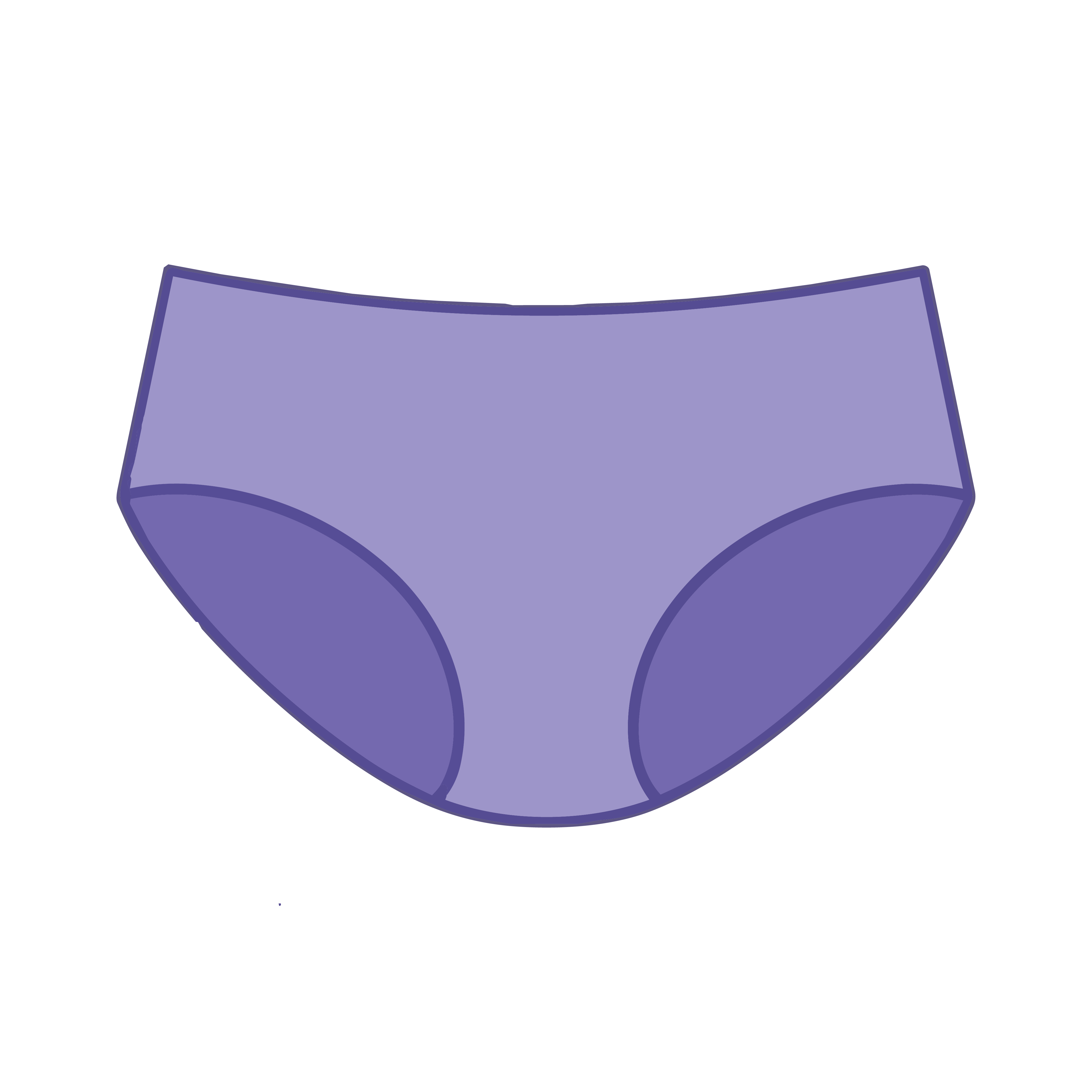 Brief